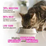 Rawz Wet Cat Food - 96% Rabbit & Pumpkin - 3oz Can